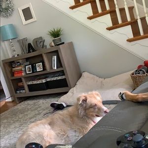 Meet your Posher, Andrew